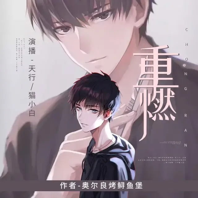 《重燃》有声小说全集下载 播讲_疯子天行