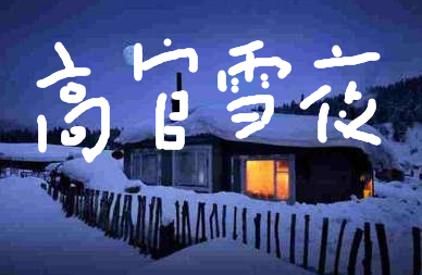 《高官雪夜》有声小说下载在线收听（全集） 播讲_星期天不出门