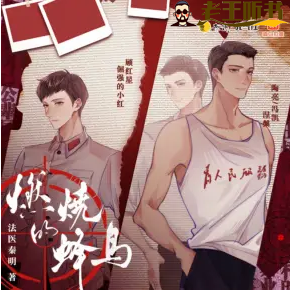 《燃烧的蜂鸟》有声小说在线收听（全集） 播讲_無声工作室