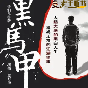 《黑马甲：四面墙外传》有声小说下载在线收听（全集） 播讲_思有为